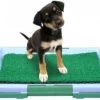 Hondentoilet Kunstgras - 3 Laags - 46 X 33 X 6cm - Puppy Pads - Zindelijkheidstraining Hond - Training Pads Puppy - Hondenmat
