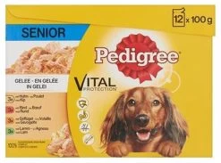 Pedigree Multipack Maaltijdzakjes Senior 12 X 100 Gr -Pet Care Verkoop 1200x890 1