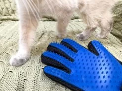 Vacht Verzorgingsborstel Voor Huisdieren - Blauw - LimitedDeals - Voor Honden Katten Konijnen Paarden - Tevens Massage Handschoen Voor Dieren! - Goed Voor De Verzorging Van De Vacht -Pet Care Verkoop 1200x897