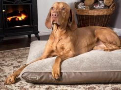 Scruffs Chateau - Hondenbed Orthopedisch Met Memory Foam Voor Extra Steun Voor Rug En Gewrichten - Grijs & Bruin Maat M/L - Kleur: Grijs, Maat: Medium -Pet Care Verkoop 1200x898 2