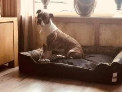 Hondenmand Cordura XXL – Zwart + Grijs - 100 X 75 X 23 Cm -Pet Care Verkoop 1200x900 26