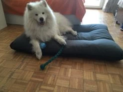 Hondenkussen XL - Donkergrijs - 60 X 90 X 12 -Pet Care Verkoop 1200x900 28