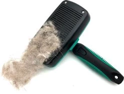 ElegaPet Hondenborstel Groen - Hondenhaar Verwijderen - Kat En Hondenkam - Slickerborstel Hond En Kat - Groomer - Ondervacht Kam Hond - Borstel Hond - Hondenborstel Langharig En Kortharig - Slickerborstel - Anti Klit/Knopen/Huidschilfers -Pet Care Verkoop 1200x902