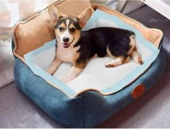 Nobleza 48WQF - Puppy Training Pads - 60 X 90 Cm - Zindelijkheidstraining -50 Stuks - L -Pet Care Verkoop 1200x911 6