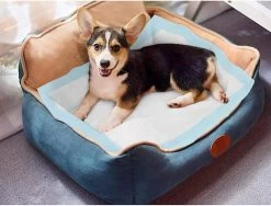 Nobleza 48LXE - Puppy Training Pads - 60 X 90 Cm - Zindelijkheidstraining - 120 Stuks -Pet Care Verkoop 1200x914