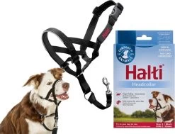 Halti Headcollar - Maat 2 -Pet Care Verkoop 1200x916 1
