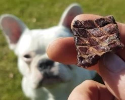 Topdiervoeding Runderlong Trainers Hondensnacks - Gedroogd En Vetarm - 1 KG -Pet Care Verkoop 1200x960 3