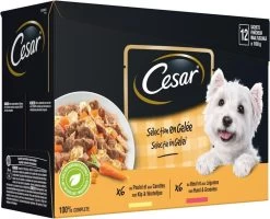 Pet Care Verkoop -Pet Care Verkoop 1200x970 3
