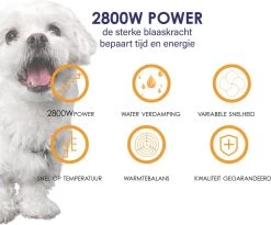 Forgoods Professionele Hondenfohn - Waterblazer Voor Honden - Hondenfohn Met 4 Opzetstukken - 2800W Verstelbaar Vermogen - Roze -Pet Care Verkoop 1200x997 1