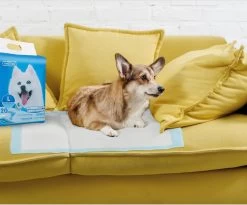 Nobleza 48LXE - Puppy Training Pads - 60 X 90 Cm - Zindelijkheidstraining - 120 Stuks -Pet Care Verkoop 1200x997 3