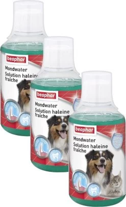 Beaphar Mondwater Hond/Kat - Gebitsverzorging - 3 X 250 Ml