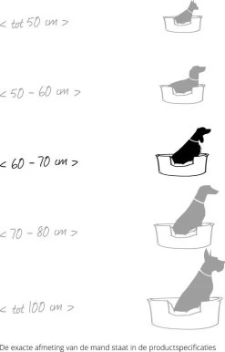 Hondenmand Zacht En Stevig, Anti-Slip En Wasbaar - Scruffs Chester Box Bed - In Grijs En Bruin In Maat S Tot XL - Kleur: Grijs, Maat: Large -Pet Care Verkoop 767x1200 1