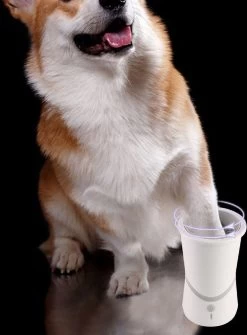 Hondenpoten Reiniger - Wasser - Hond – Pet Paw Washer – Hondenborstel – Honden Borstel - Verzorging -Pet Care Verkoop 884x1200