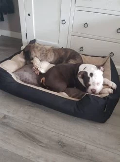 Hondenmand Cordura XXL – Zwart + Grijs - 100 X 75 X 23 Cm -Pet Care Verkoop 892x1200