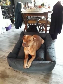 Hondenmand Cordura XXL – Zwart + Grijs - 100 X 75 X 23 Cm -Pet Care Verkoop 900x1200 16