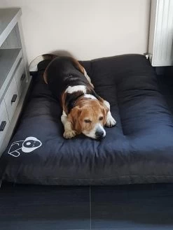 Hondenkussen XL - Donkergrijs - 60 X 90 X 12 -Pet Care Verkoop 900x1200 18