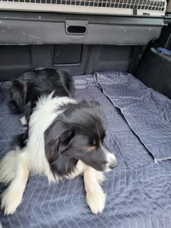 Luxe Hondendeken 200 X 150 Cm Auto Achterbank Kofferbak Vuilafstotend & Beschermend -Pet Care Verkoop 900x1200 20