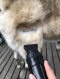 Waterblazer Hond - Hondendroger -Pet Care Verkoop 900x1200 4