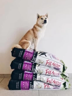 Fit Active Everyday Premium – Hondenvoer Voor Volwassen Honden Van Middelgrote Tot Grote Rassen - Premium Hondenbrokken Op Basis Van Kip/rund Smaak - 15kg -Pet Care Verkoop 900x1200 8