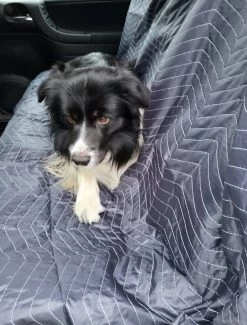 Luxe Hondendeken 200 X 150 Cm Auto Achterbank Kofferbak Vuilafstotend & Beschermend