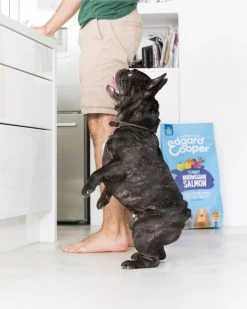 Edgard & Cooper Verse Noorse Zalm Adult - Hondenvoer - 7kg -Pet Care Verkoop 959x1200 1