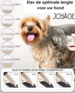 Joyage Professionele Hondentondeuse Voor Dikke Vacht – Honden Tondeuse & Hondentrimmer Tondeuse – Stille Tondeuse Katten & Honden Trimset Lang Haar – Trimmer Hond - Hondentondeuse Draadloos - Tondeuse Voor Honden - Tondeuse Hond Dikke Vacht 9 Joyage Professionele Hondentondeuse Voor Dikke Vacht – Honden Tondeuse & Hondentrimmer Tondeuse – Stille Tondeuse Katten & Honden Trimset Lang Haar – Trimmer Hond - Hondentondeuse Draadloos - Tondeuse Voor Honden - Tondeuse Hond Dikke Vacht -Pet Care Verkoop 962x1200 2