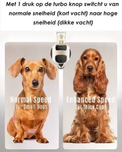 Joyage Professionele Hondentondeuse Voor Dikke Vacht – Honden Tondeuse & Hondentrimmer Tondeuse – Stille Tondeuse Katten & Honden Trimset Lang Haar – Trimmer Hond - Hondentondeuse Draadloos - Tondeuse Voor Honden - Tondeuse Hond Dikke Vacht 10 Joyage Professionele Hondentondeuse Voor Dikke Vacht – Honden Tondeuse & Hondentrimmer Tondeuse – Stille Tondeuse Katten & Honden Trimset Lang Haar – Trimmer Hond - Hondentondeuse Draadloos - Tondeuse Voor Honden - Tondeuse Hond Dikke Vacht -Pet Care Verkoop 962x1200 3