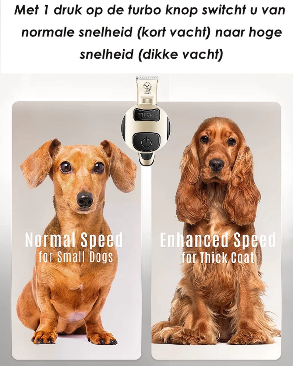 Joyage Professionele Hondentondeuse Voor Dikke Vacht – Honden Tondeuse & Hondentrimmer Tondeuse – Stille Tondeuse Katten & Honden Trimset Lang Haar – Trimmer Hond - Hondentondeuse Draadloos - Tondeuse Voor Honden - Tondeuse Hond Dikke Vacht 4 Joyage Professionele Hondentondeuse Voor Dikke Vacht – Honden Tondeuse & Hondentrimmer Tondeuse – Stille Tondeuse Katten & Honden Trimset Lang Haar – Trimmer Hond - Hondentondeuse Draadloos - Tondeuse Voor Honden - Tondeuse Hond Dikke Vacht - Afbeelding 4