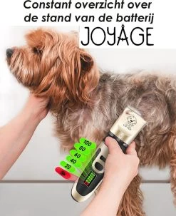 Joyage Professionele Hondentondeuse Voor Dikke Vacht – Honden Tondeuse & Hondentrimmer Tondeuse – Stille Tondeuse Katten & Honden Trimset Lang Haar – Trimmer Hond - Hondentondeuse Draadloos - Tondeuse Voor Honden - Tondeuse Hond Dikke Vacht 11 Joyage Professionele Hondentondeuse Voor Dikke Vacht – Honden Tondeuse & Hondentrimmer Tondeuse – Stille Tondeuse Katten & Honden Trimset Lang Haar – Trimmer Hond - Hondentondeuse Draadloos - Tondeuse Voor Honden - Tondeuse Hond Dikke Vacht -Pet Care Verkoop 979x1200