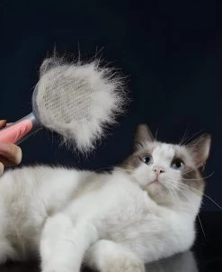 Pakeway T9 - Kattenborstel - Zelfreinigende Kattenkam - Roze - Massageborstel - 19,3 Cm -Pet Care Verkoop 983x1200 1